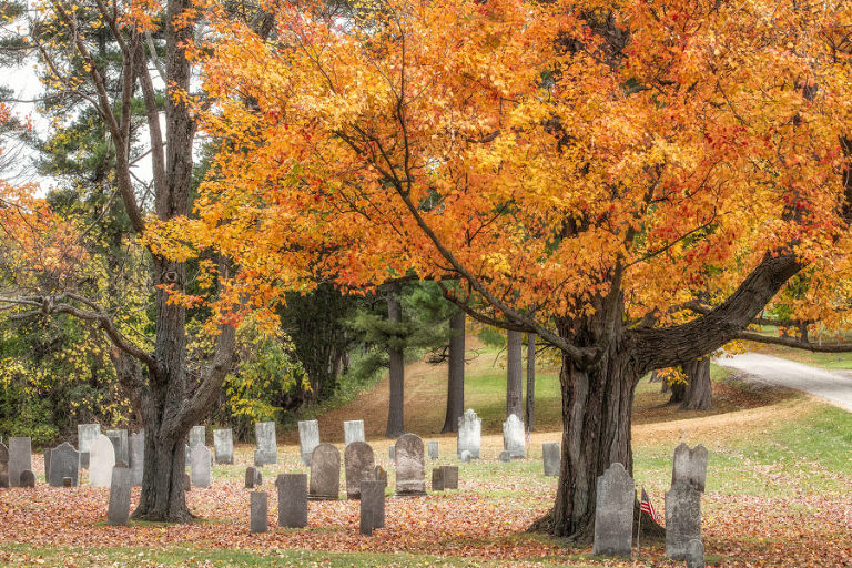 First used in 1793, this half acre cemetery has 75+ gravesites. Originally called the Pierson farm, today it is part of Shelburne Farms, Vermont.